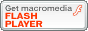 collegamento alla pagina per scaricare Macromedia Flash Player